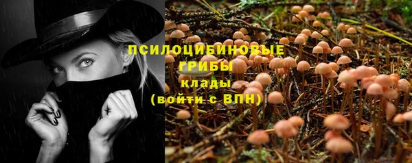 ГАЛЛЮЦИНОГЕННЫЕ ГРИБЫ Лиски