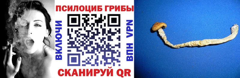 Купить закладки Осинники Галлюциногенные грибы мицелий